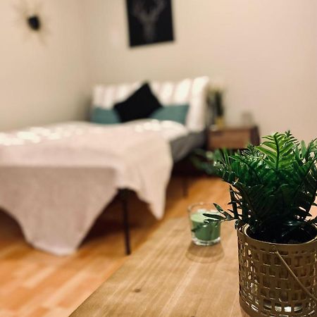 Saniertes Studio - Elisa - Mit Balkon, Wlan, Smart-Tv & Kueche In City-Naehe Erfurt Zewnętrze zdjęcie